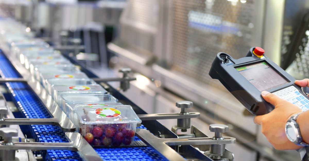 A line of fruit food products rolling down a conveyor belt being filled into packaging on a manufacturing floor.