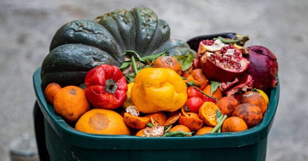 A pile of produce, including tomatoes and squash, that’s been thrown into the waste basket because it’s gone bad.